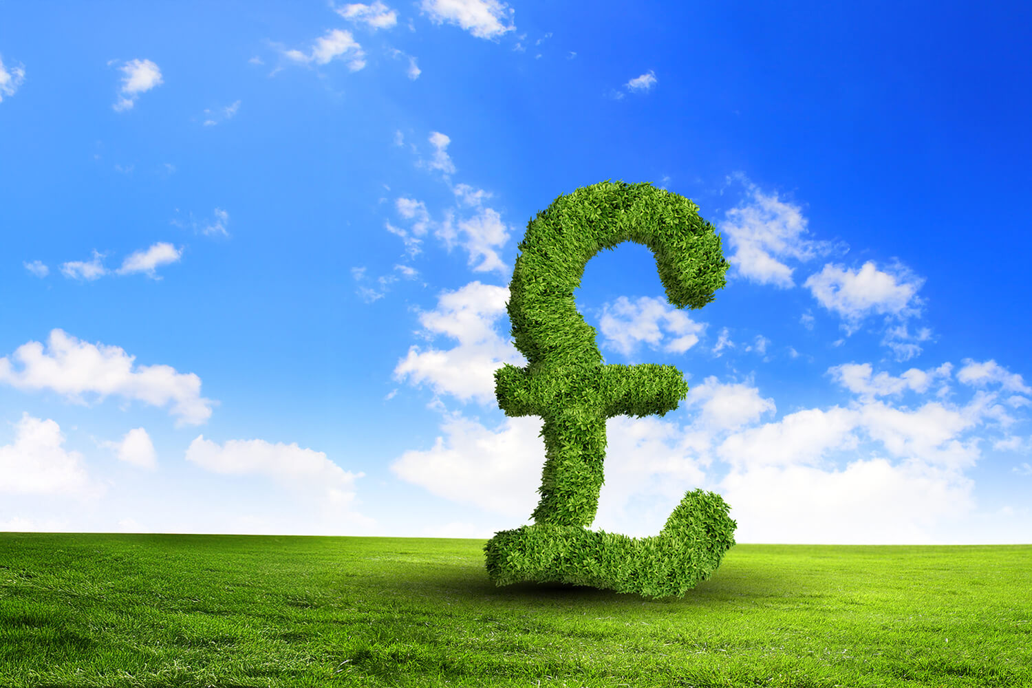 who pays for eco 4