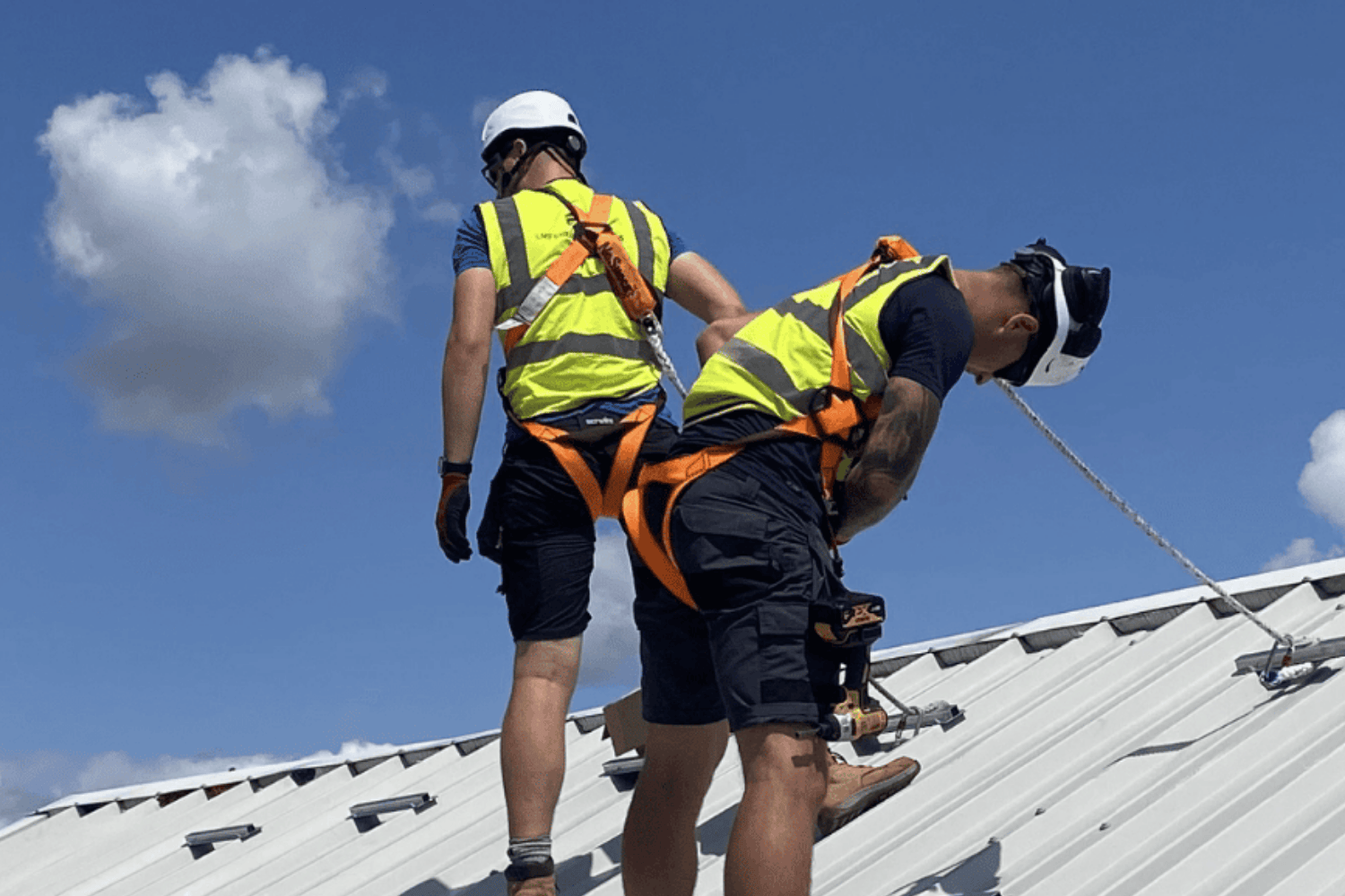 LANDSCAPE TEMPLATE (14)