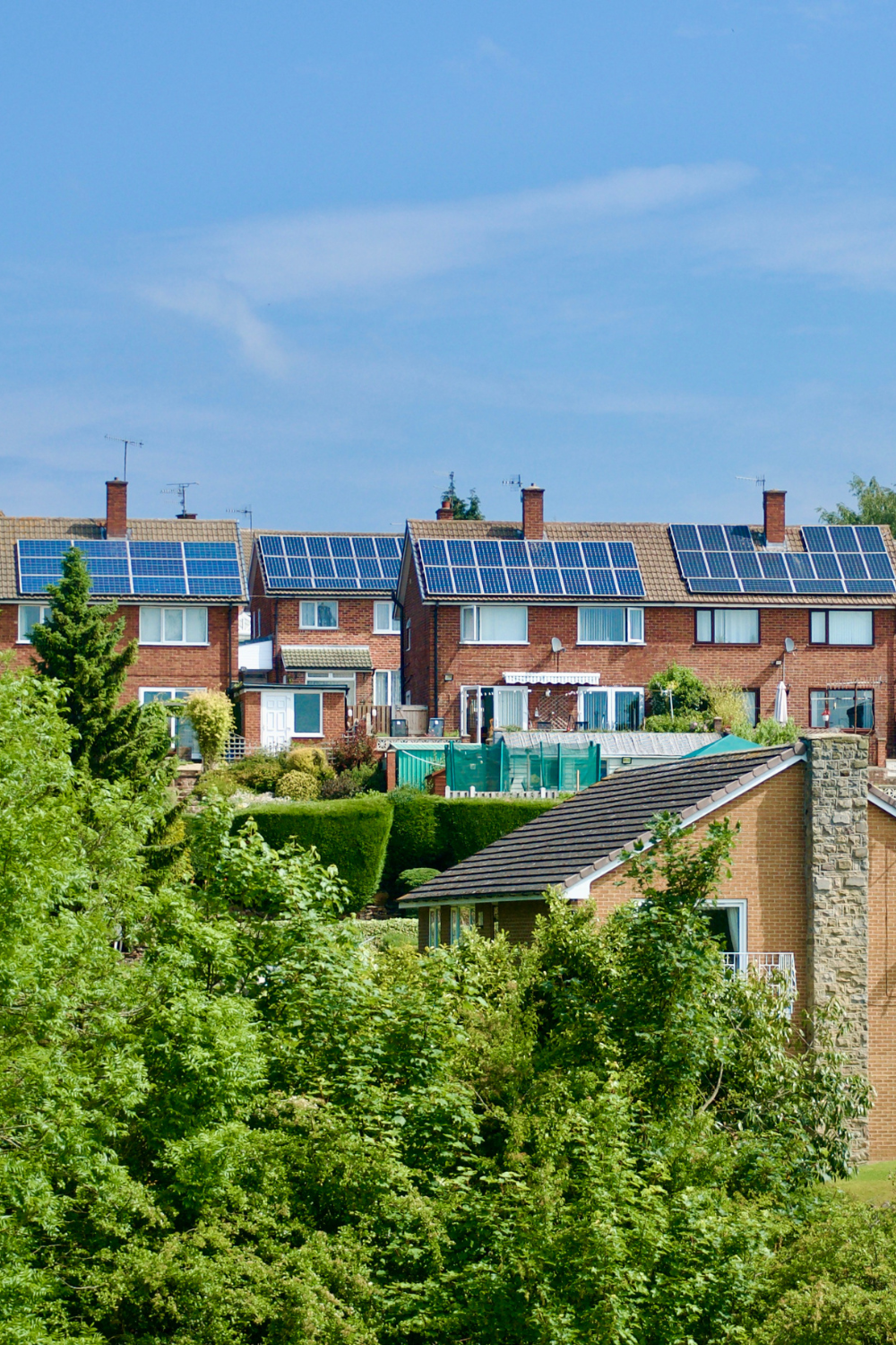 PORTRAIT 1.5 TEMPLATE (8)