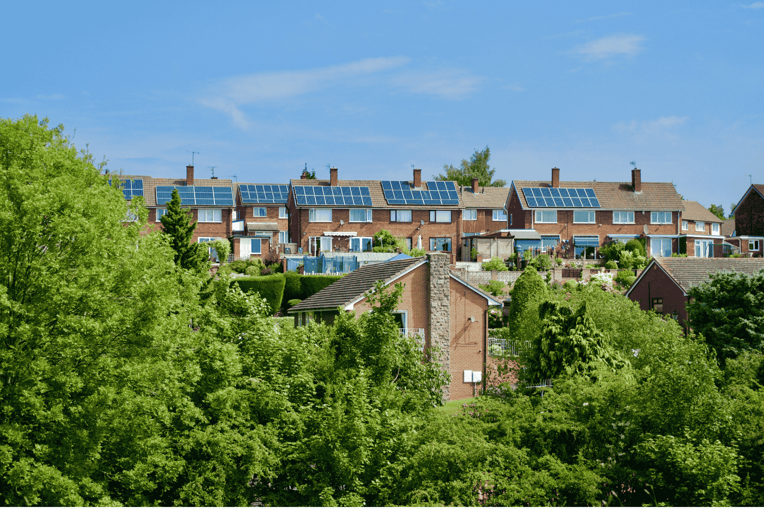 LANDSCAPE TEMPLATE (16)