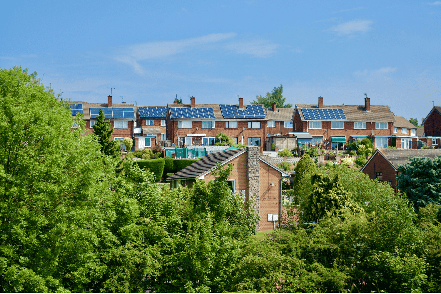 LANDSCAPE TEMPLATE (6)